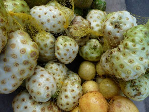 Venda de Noni em Coari, às margens do rio Solimões, no Amazonas